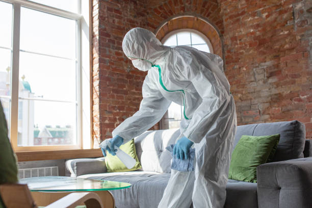 Professional Mold Removal in Eagle Lake, WI